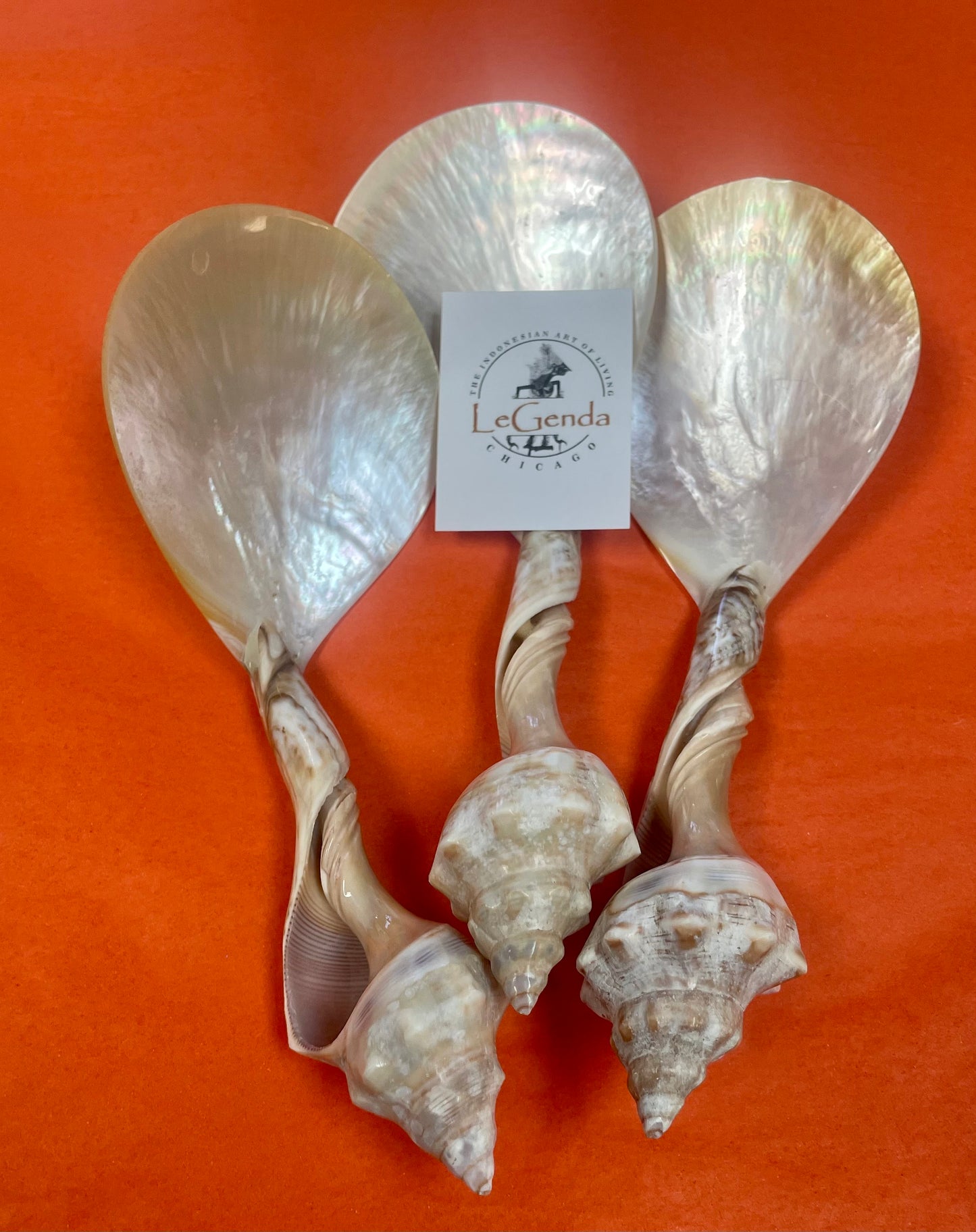 Shell Serving Spoon