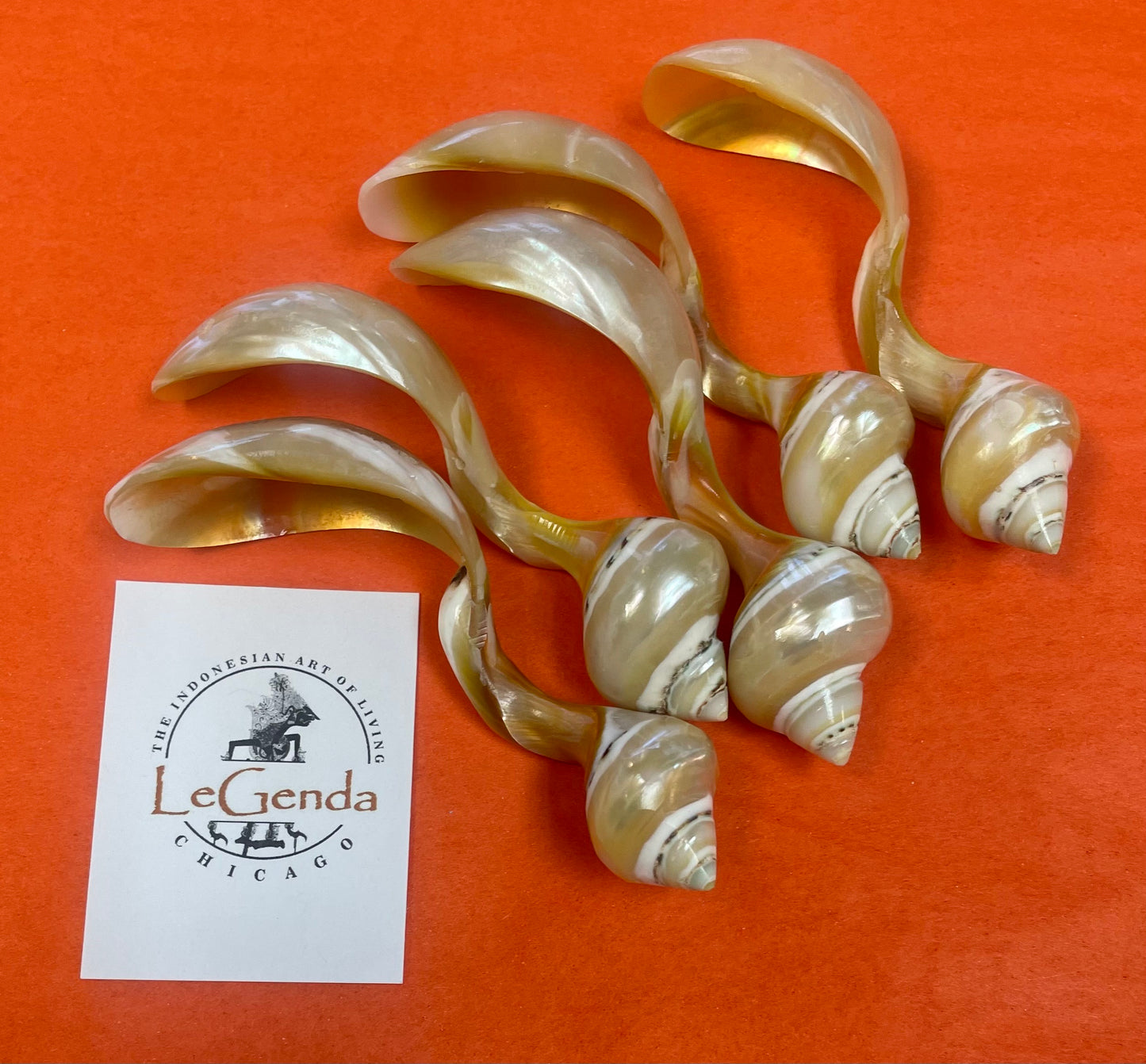 Shell Small Dessert Spoon