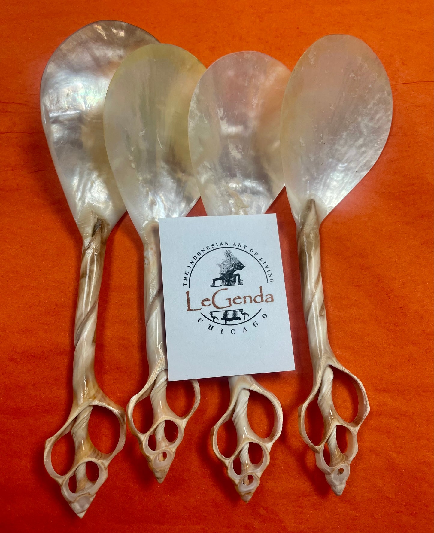 Shell Spoon Medium Dessert