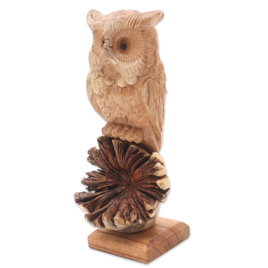 Owl Looking Forward Wood Sculpture Handmade