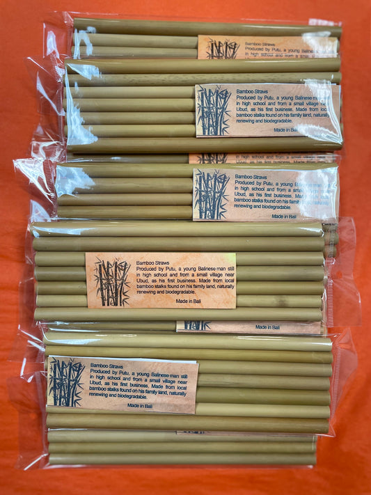 Bamboo Straws 7pcs