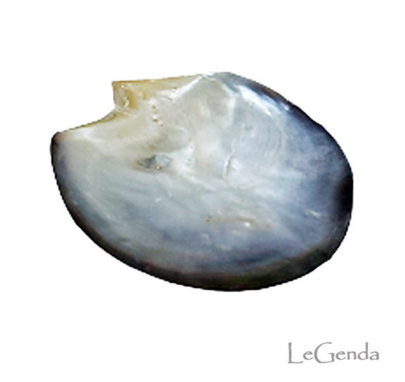 Shell Plate – Legendachicago